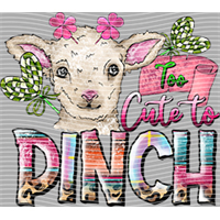 Valentine's Day-QRJ  7616